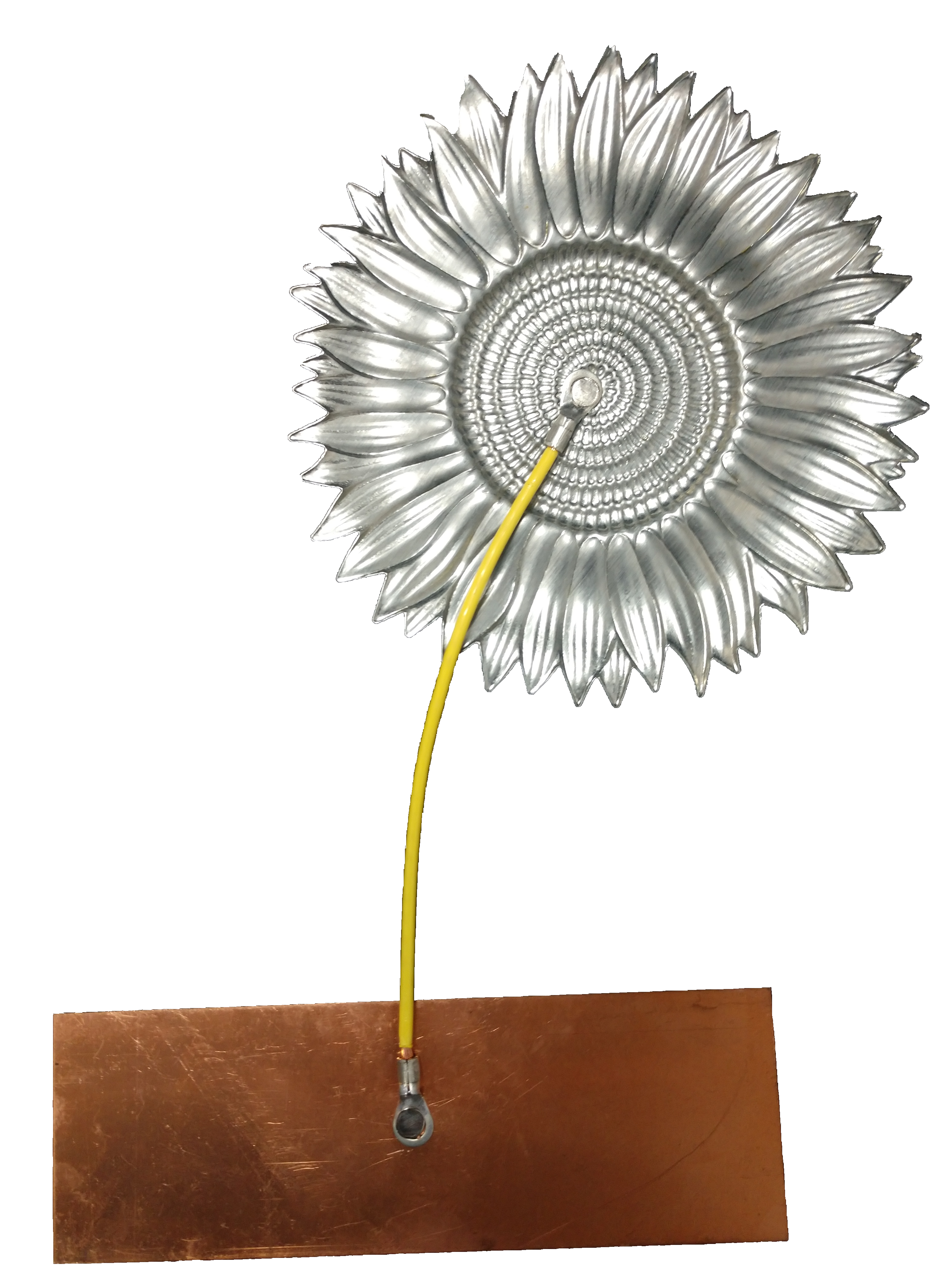 Sunflower Anode